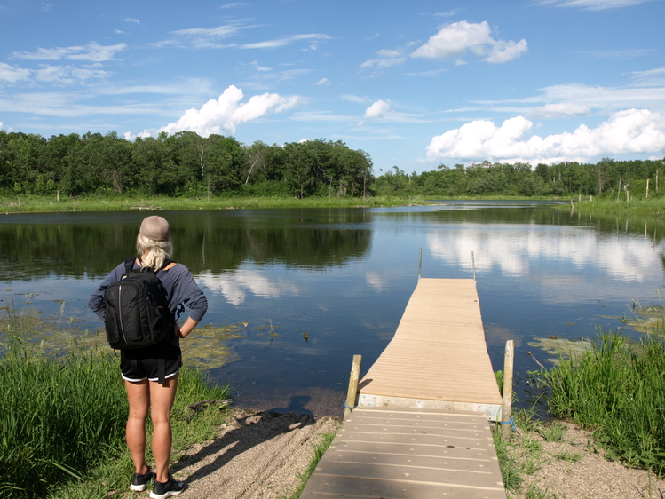 Escape to Serenity: Unwind at North Dakota's Lake Metigoshe State Park