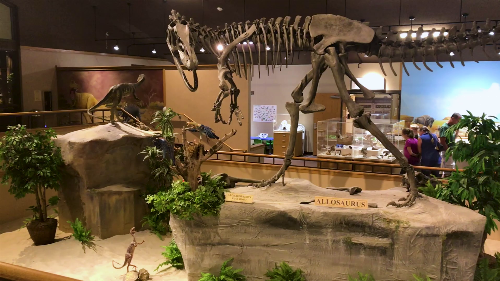 10 Incredible Year-Round Activities You Can’t Miss in Dickinson North Dakota
