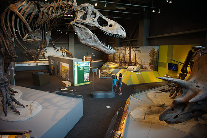 Dinosaurs at the North Dakota Heritage Center and State Museum