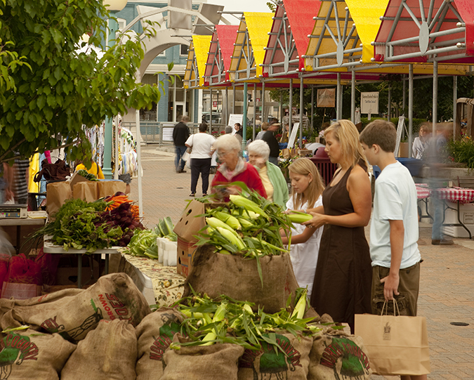 shopping at a farmers market