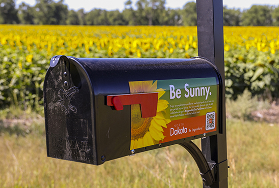 Sunflower Mailbox