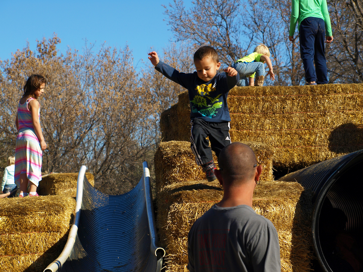 Papa's Pumpkin Patch