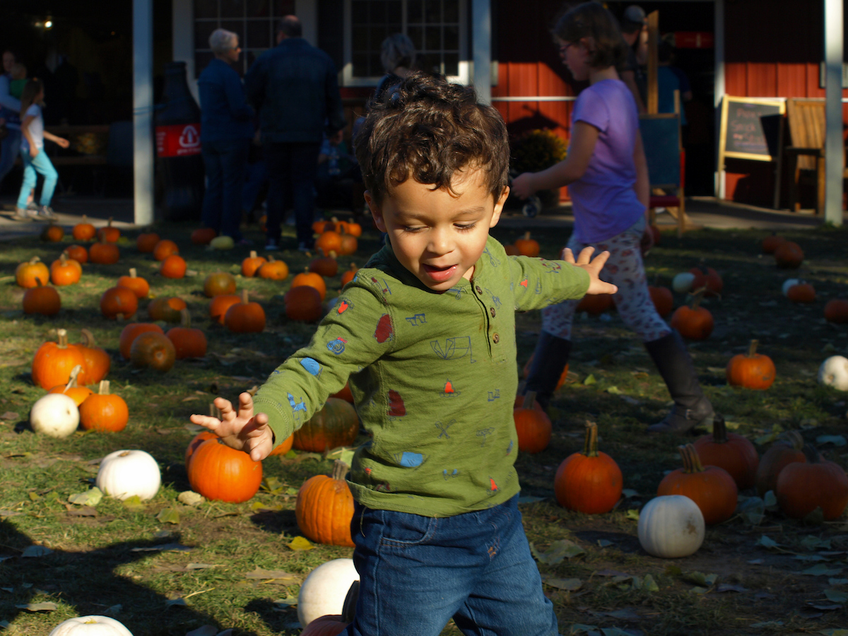 Papa's Pumpkin Patch