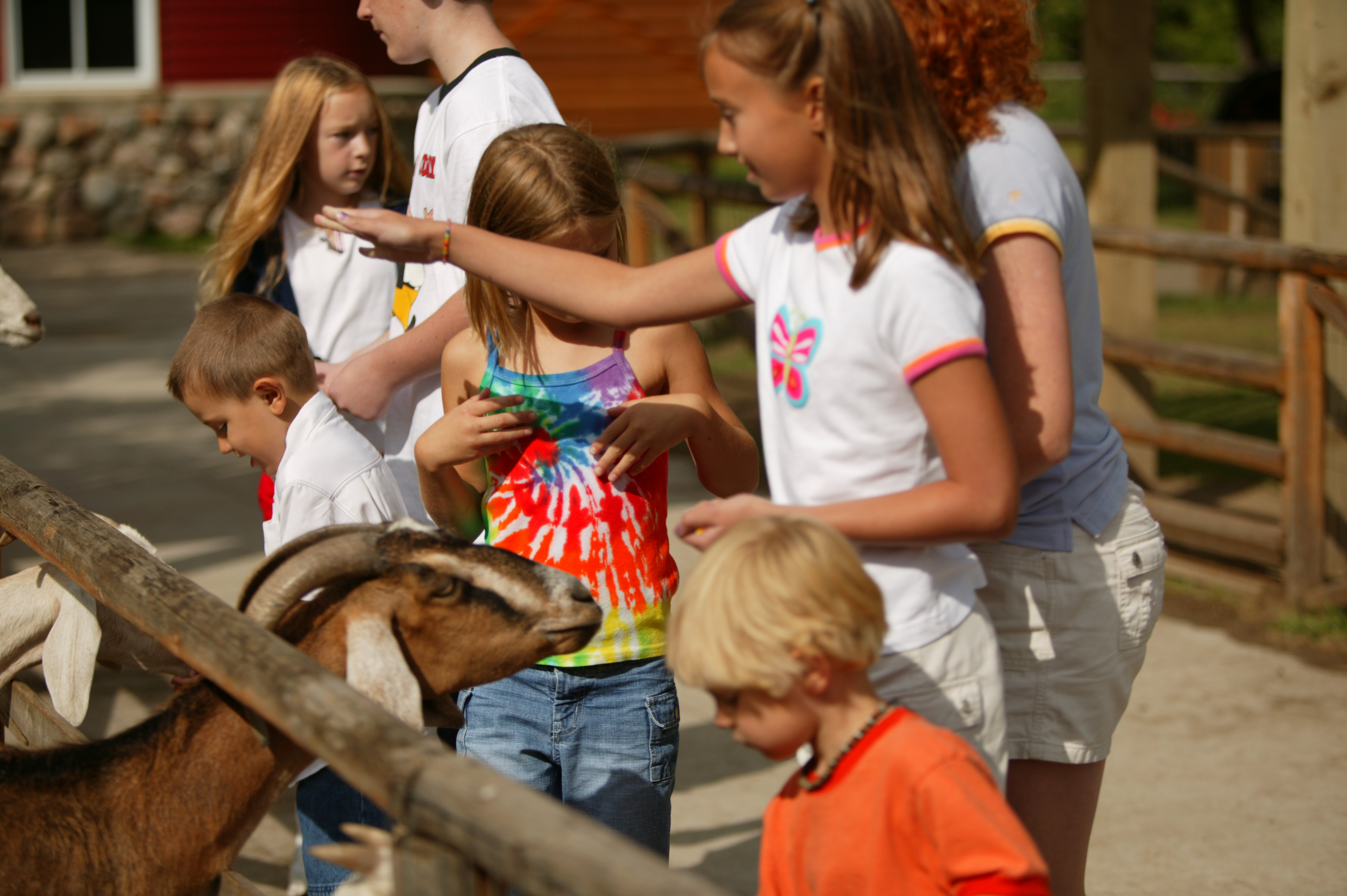 Wild Times Await at 4 North Dakota Zoos Official North Dakota Travel