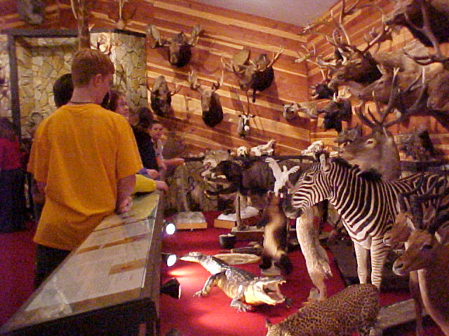 Pfennig Wildlife Museum | Official North Dakota Travel & Tourism Guide