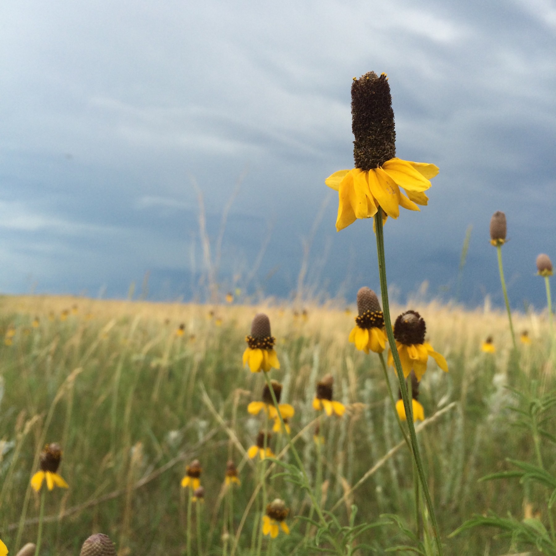 Cross Ranch Nature Preserve | Official North Dakota Travel & Tourism Guide