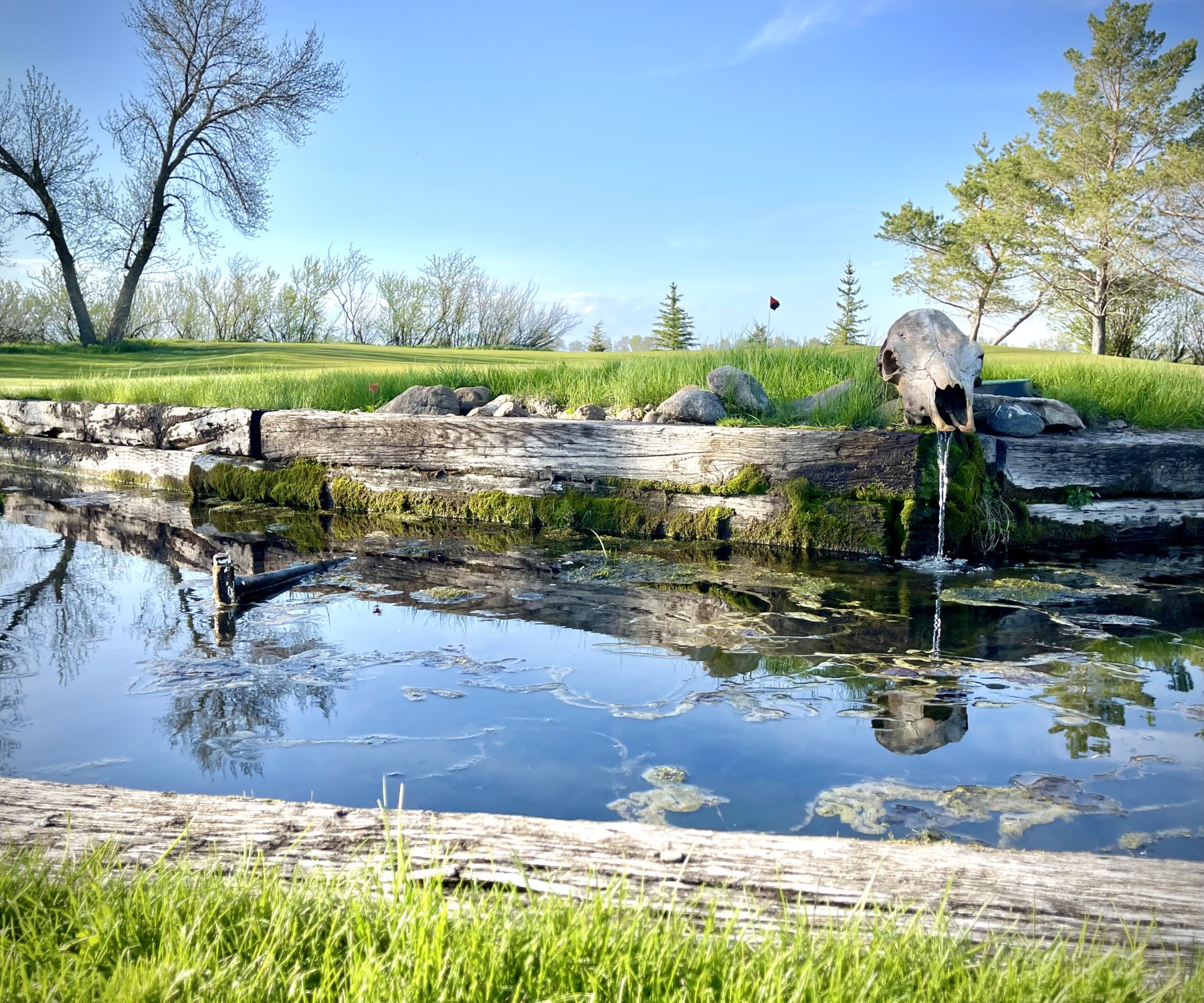 McVille Country Club Official North Dakota Travel & Tourism Guide