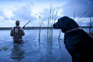 Hunter and dog