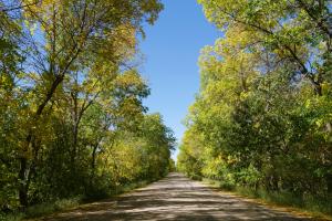 Hiking trail