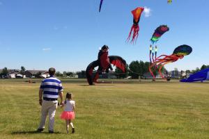 kites