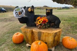 pumpkins and hay bale with cats