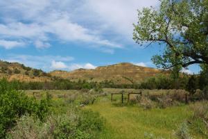 Elkhorn Ranch gate