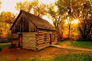 Teddy's Cabin by Katherine Plessner