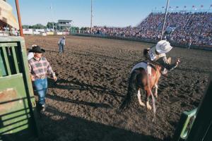 rodeo