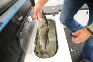fish well on boat