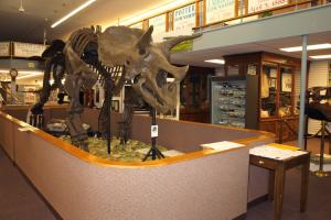 Gundy the Triceratops