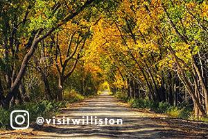 Fall colored trees surround a road in the Trenton Wildlife Management area