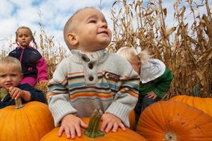 Pumpkin Patch
