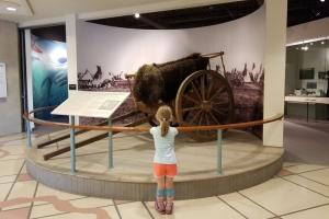 Photo of Pembina Museum