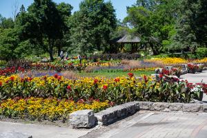 International peace gardens