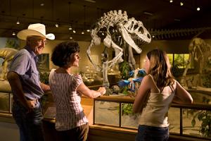 Dinosaur Museum