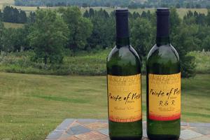 Point of View wines
