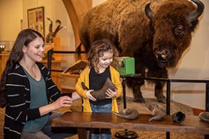 North American Bison Discovery Center