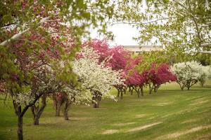 State capitol grounds trees