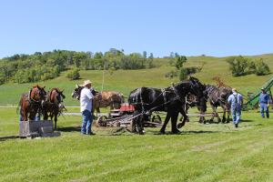 Sunne  Farm