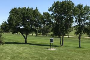 Golfing in Westhope