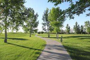 Golfing in Underwood
