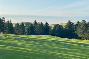 Golfing in Linton