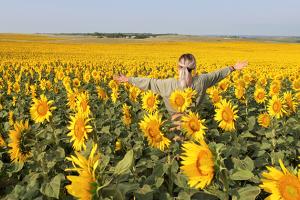 girl in sunflowers