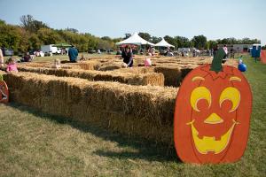 Grafton Corn Maze and Pumpkin Patch