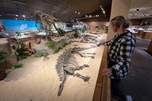 Dinosaurs at the Dickinson Museum