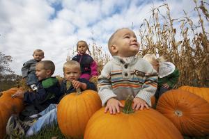 Nelson's Pumpkin Patch Corn Maze