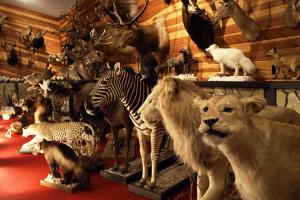 Pfennig Wildlife Museum