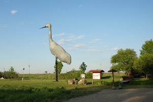 crane