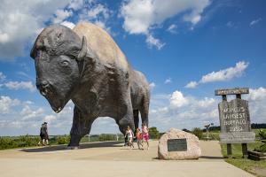 World's Largest Buffalo