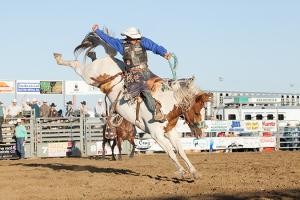horseback