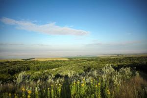 Turtle Mtn Byway