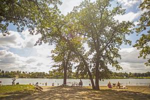 beach of Lake Renwick