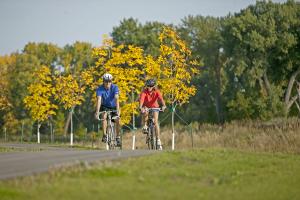 Biking along the Greenway