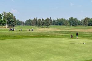 Vardon
