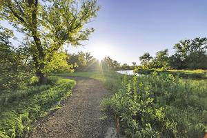 Cannonball Trail at Mott