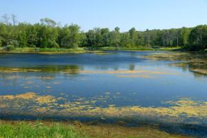 Turtle Mtn Byway