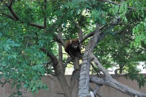 Red River Zoo