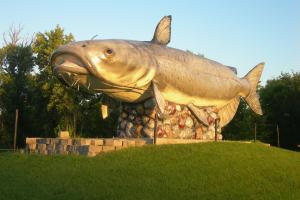 Catfish