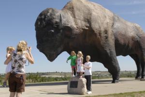 Worlds largest Buffalo