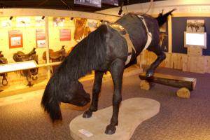 Cowboy hall of fame